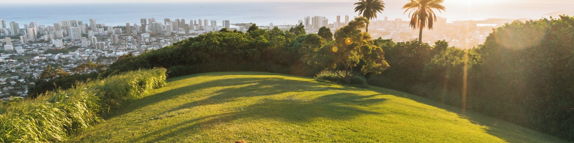 Um casal sentado em uma colina gramada com vista para uma paisagem urbana com palmeiras e um pôr do sol.