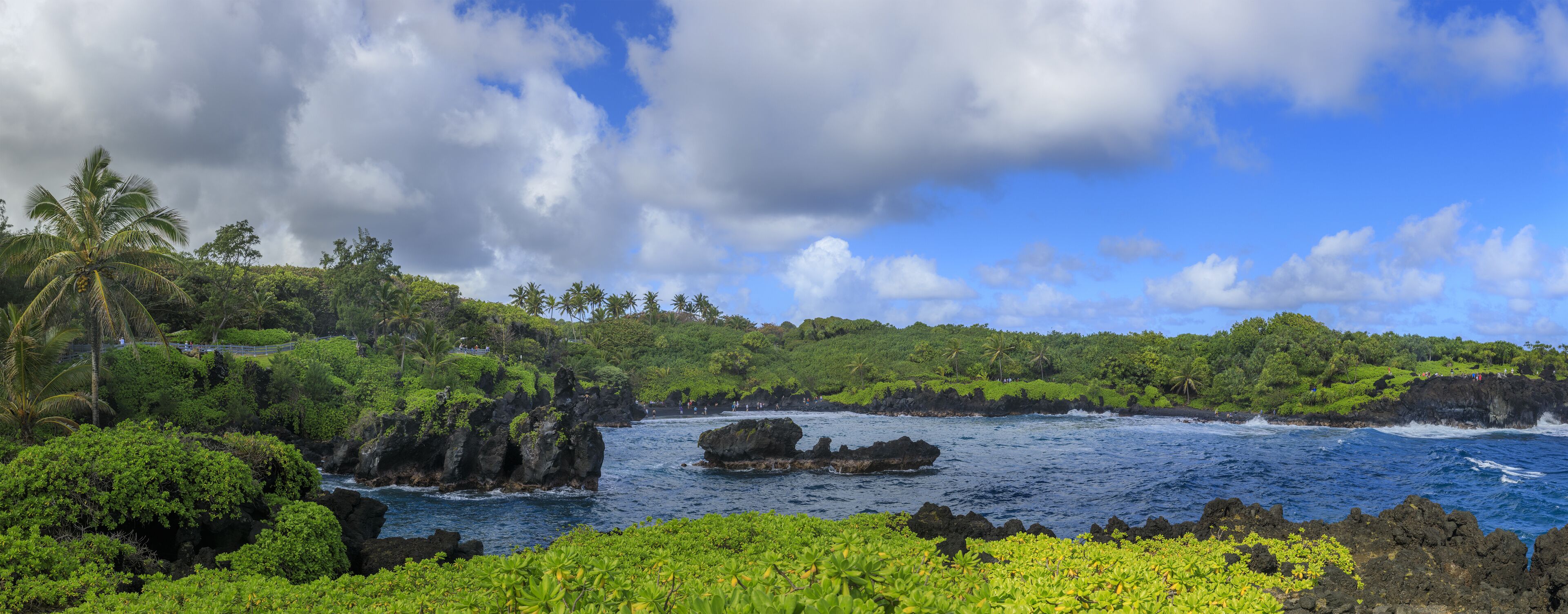 A coastal landscape with lush greenery, rocky outcrops, and a clear blue sky.
