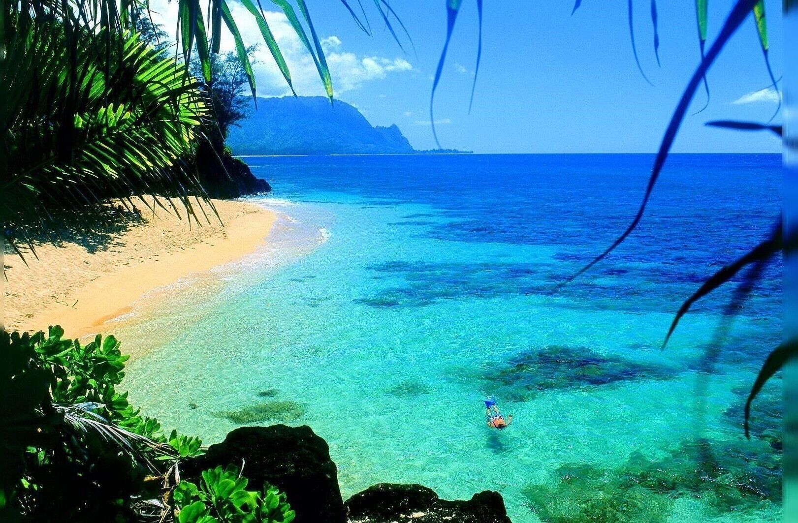 #lifeatexpedia #beaches #paradise
I lived here, growing up.  What a great life!  From school to the beach.  The next day; more of the same.  
I must go back soon.  Travel tip: if you get too much sun, find an aloe plant (they grow all over in the lush landscape), break open the tip of a 'leaf' and smear the clear "goo" from inside straight on the sunburn.  This will soothe it immediately. Also, if you plan to surf, wear water shoes for protection against sea urchins!  If you step on one, you must soak your foot in urine to treat.  OUCH!