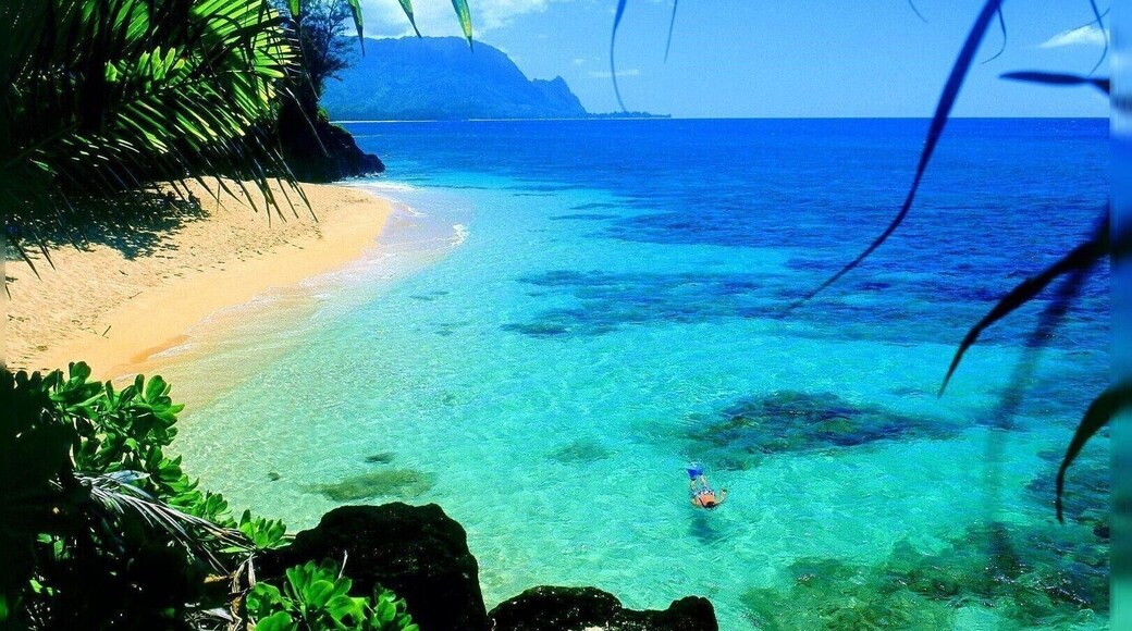 #lifeatexpedia #beaches #paradise
I lived here, growing up. What a great life! From school to the beach. The next day; more of the same.
I must go back soon. Travel tip: if you get too much sun, find an aloe plant (they grow all over in the lush landscape), break open the tip of a 'leaf' and smear the clear "goo" from inside straight on the sunburn. This will soothe it immediately. Also, if you plan to surf, wear water shoes for protection against sea urchins! If you step on one, you must soak your foot in urine to treat. OUCH!