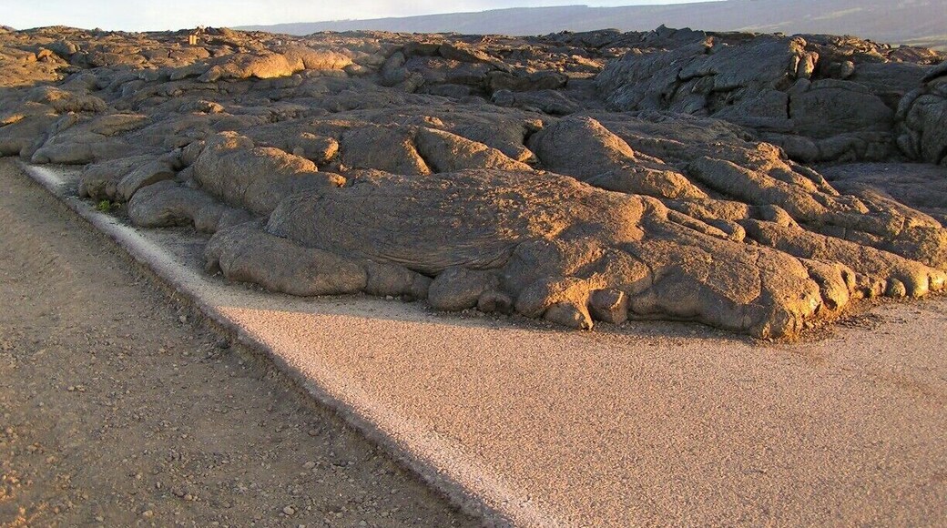 This is where we started the 2 hour walk to where the lava flowed down into the sea on the big Island. The rangers wouldn't let you go unless you had a flash light and 2 bottles of water per person. It was worth it , the ranger said it was where you can see mother earth giving birth.