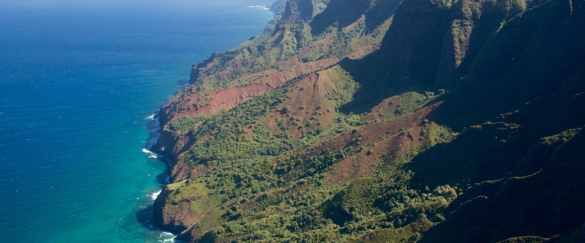 A coastal mountain range with steep cliffs and dense green vegetation.