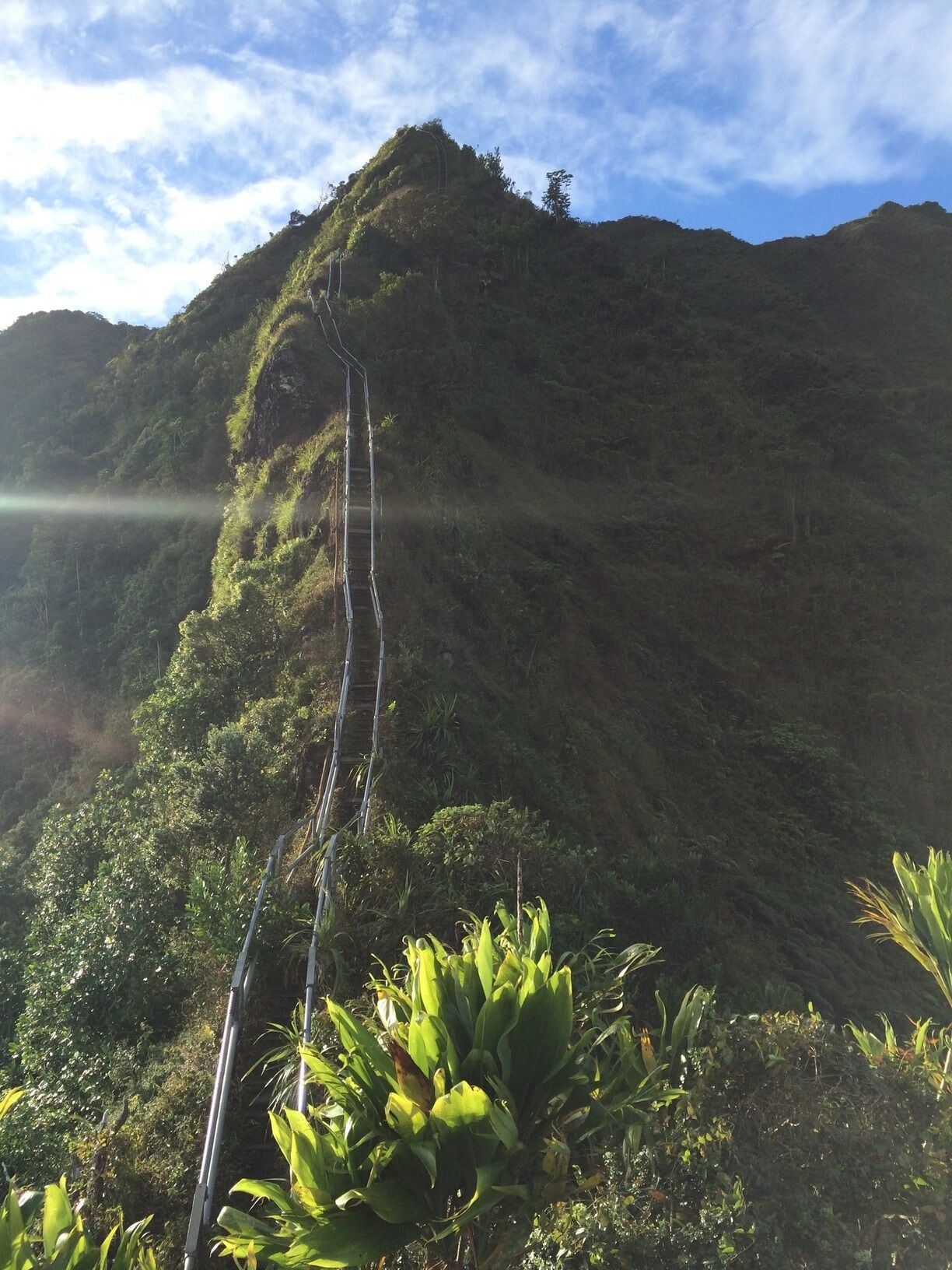 Climbing the Haiku stairs in the beautiful island of Oahu, Hawaii.
.
.
...
#hawaii #oahu#oahulife #honolulu #waikikibeach #waikiki#aloha #alohaspirit #haikustairs #stairwaytoheaven #hike #nature #travel#lovehawaii