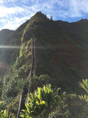 Climbing the Haiku stairs in the beautiful island of Oahu, Hawaii.
.
.
...
#hawaii #oahu#oahulife #honolulu #waikikibeach #waikiki#aloha #alohaspirit #haikustairs #stairwaytoheaven #hike #nature #travel#lovehawaii