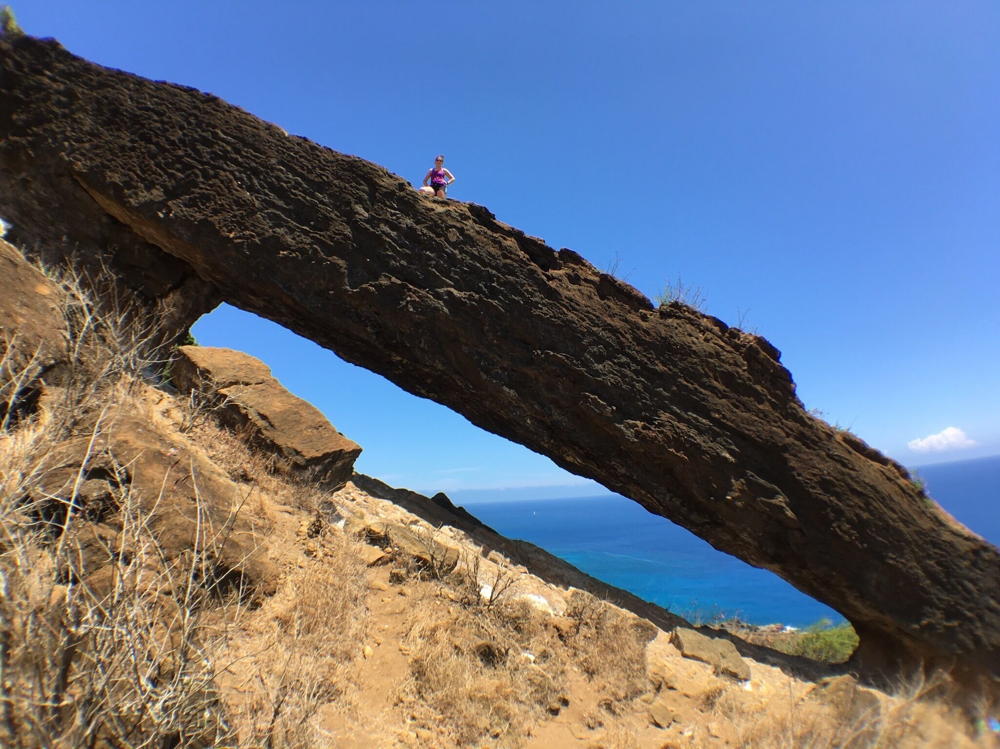 Found the perfect ⛵🐋️🚤 watching spot. 