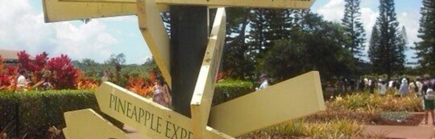 Pineapple plantation was an interesting stop 😀