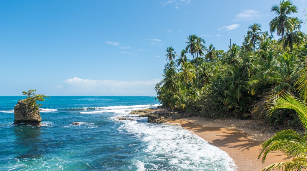Wild caribbean beach of Manzanillo at Puerto Viejo, Costa Rica