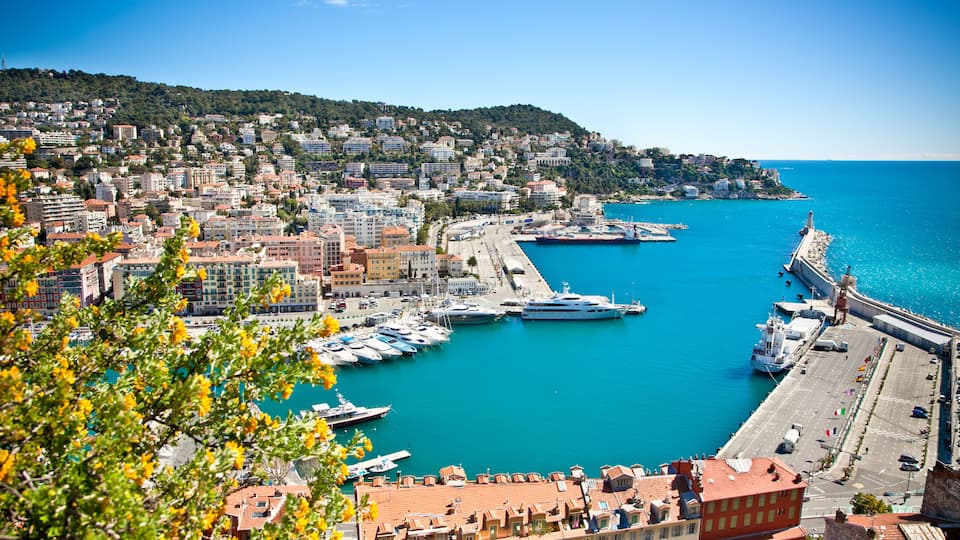 A coastal cityscape with a marina, boats, and a bridge.