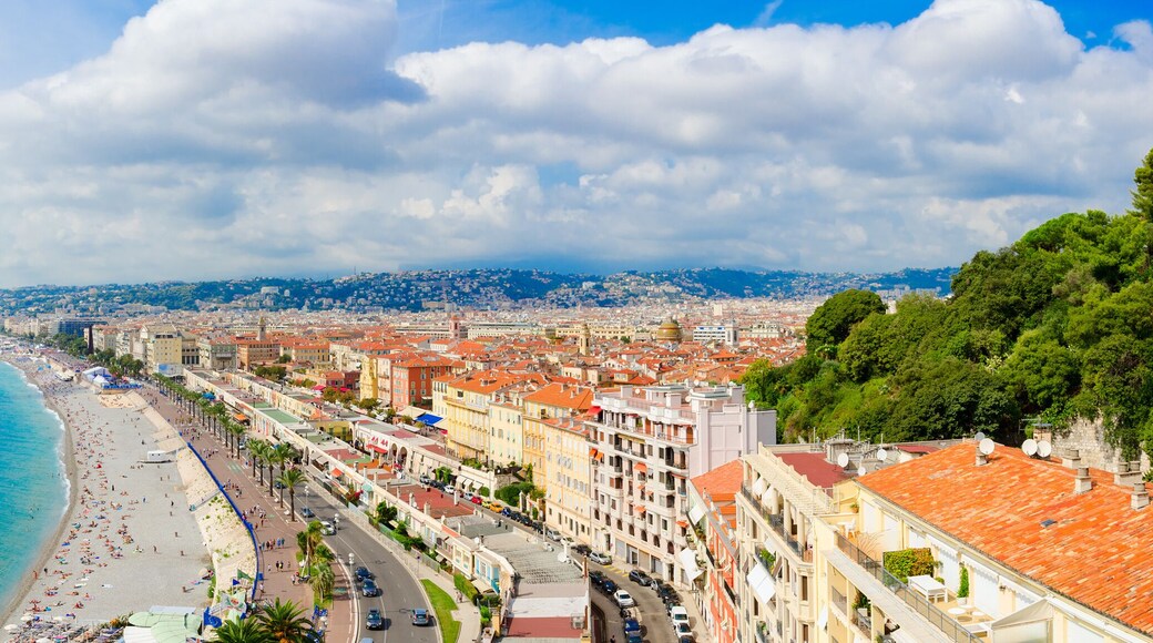 A coastal cityscape with a beach, buildings, and a hill with trees.