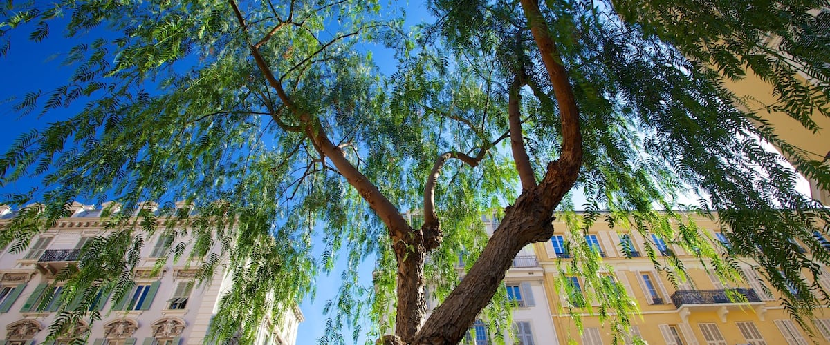French Riviera Hotel Guide