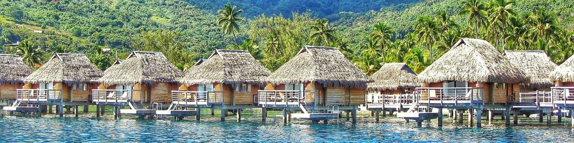 Tahiti is truly one of the most stunning places on the planet. The water is the most incredible shades of blue. #green