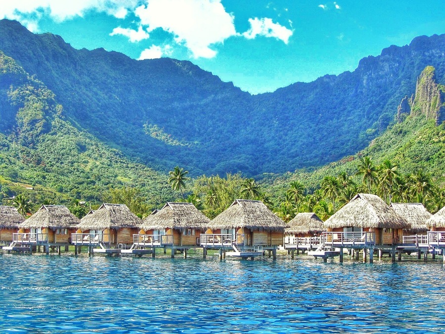 Tahiti is truly one of the most stunning places on the planet. The water is the most incredible shades of blue. #green