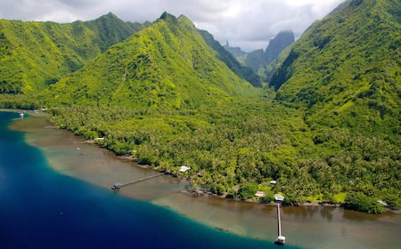 Tahiti Casino Roulette: An Engaging Online Casino Experience for Canadian Players