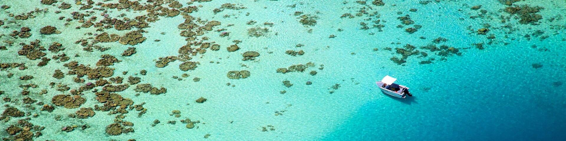 Tahiti showing coral