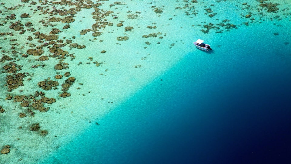 An aerial view of a turquoise sea with scattered coral formations and a small boat in the distance.