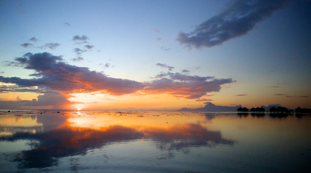Tahiti bevat een zonsondergang en algemene kustgezichten