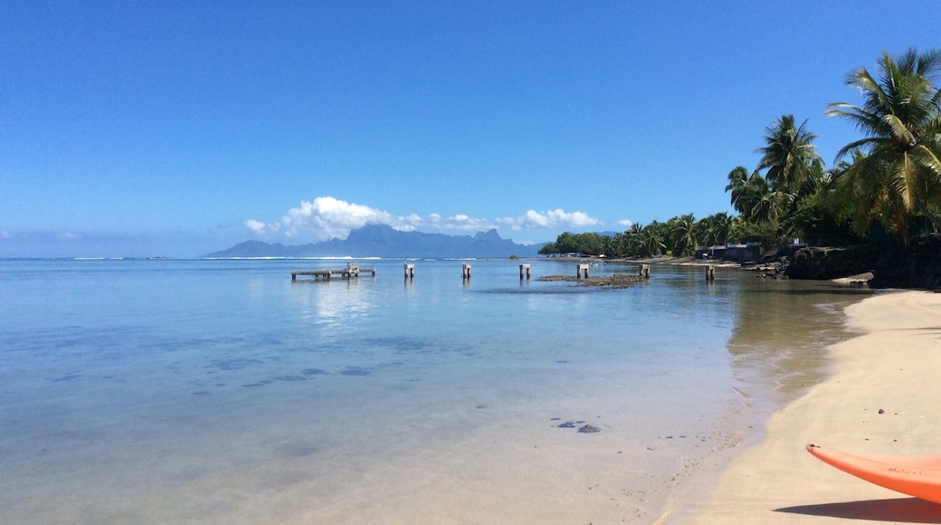 This was such a beautiful beach in Tahiti off Le Meridien