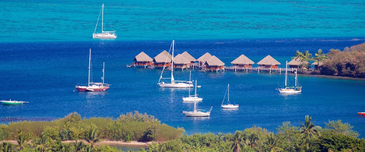 타히티 을 특징 일반 해안 전경, 항구 또는 항만 과 아열대 풍경