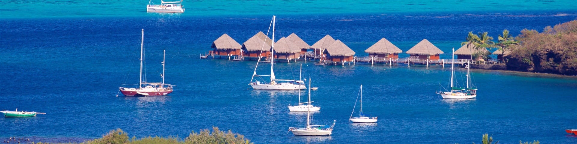 タヒチ島 どの含み 海岸線の眺め, 湾岸あるいはハーバー と 常夏の風景