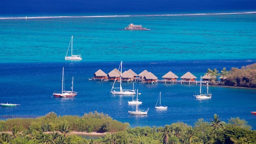 Tahiti showing tropical scenes, general coastal views and a bay or harbor