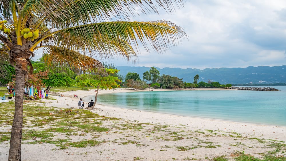 A beach with a palm tree, calm water, and distant mountains.