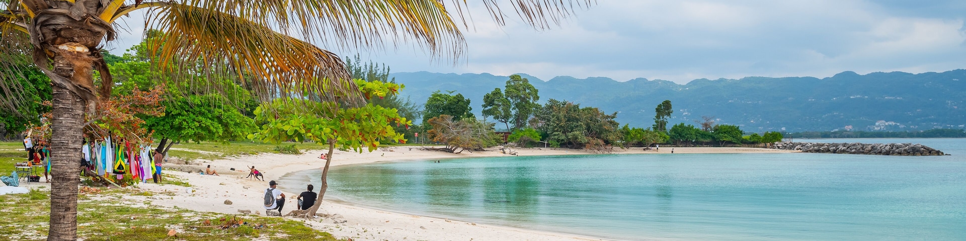 Uma praia com palmeira, águas calmas e montanhas ao longe.