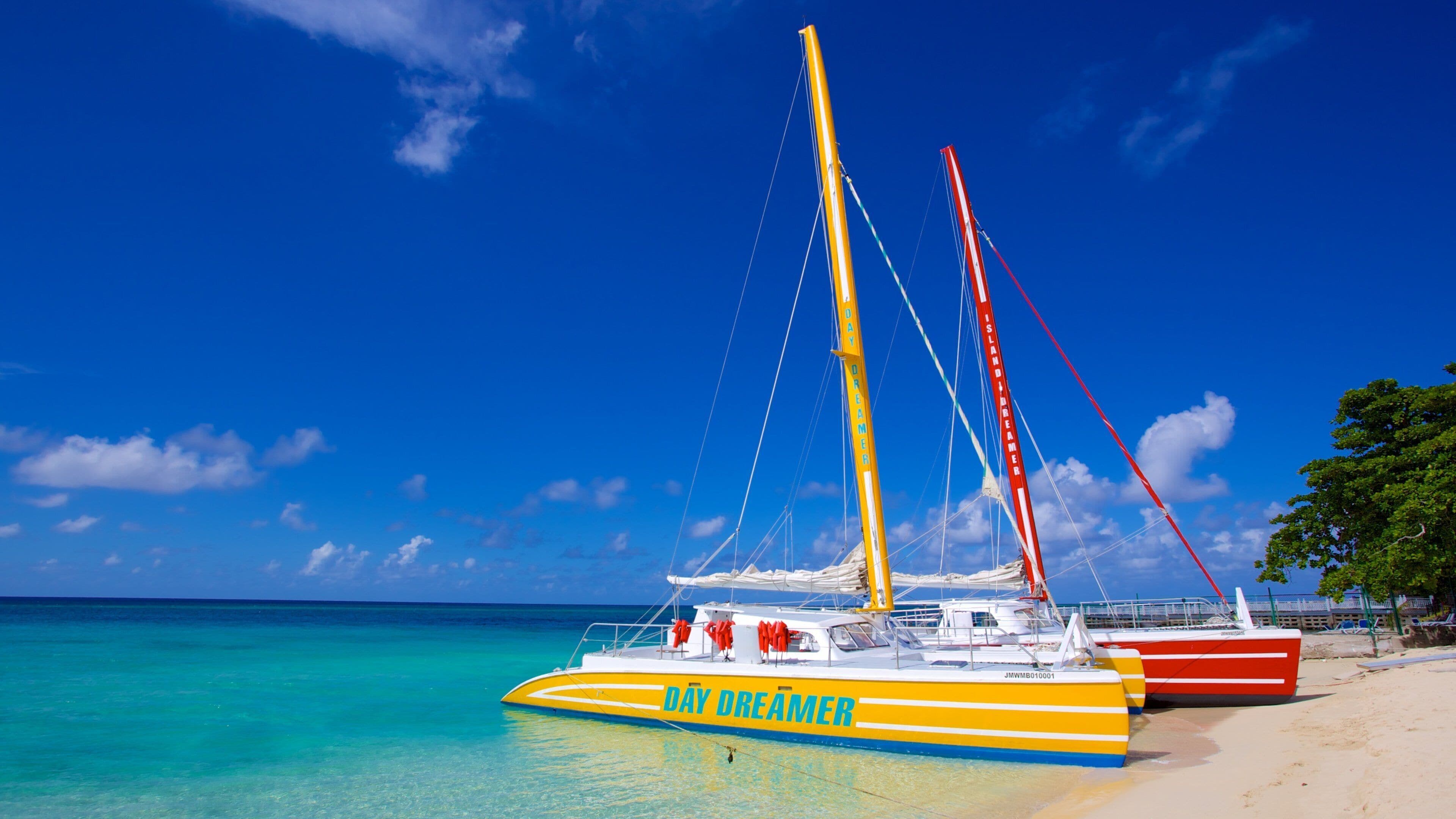 Montego Bay showing tropical scenes, a beach and general coastal views
