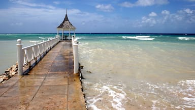Un muelle que lleva a un pabellón junto al océano.