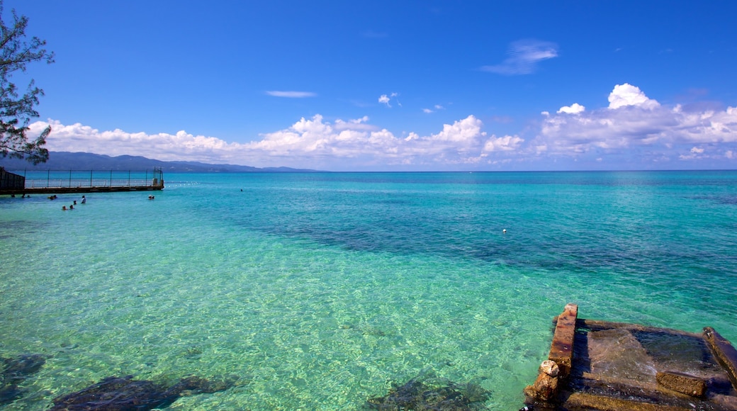 Montego Bay featuring tropical scenes and general coastal views