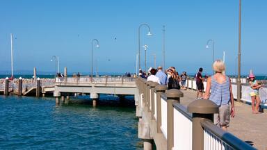 Un muelle con gente caminando, con vistas al agua.