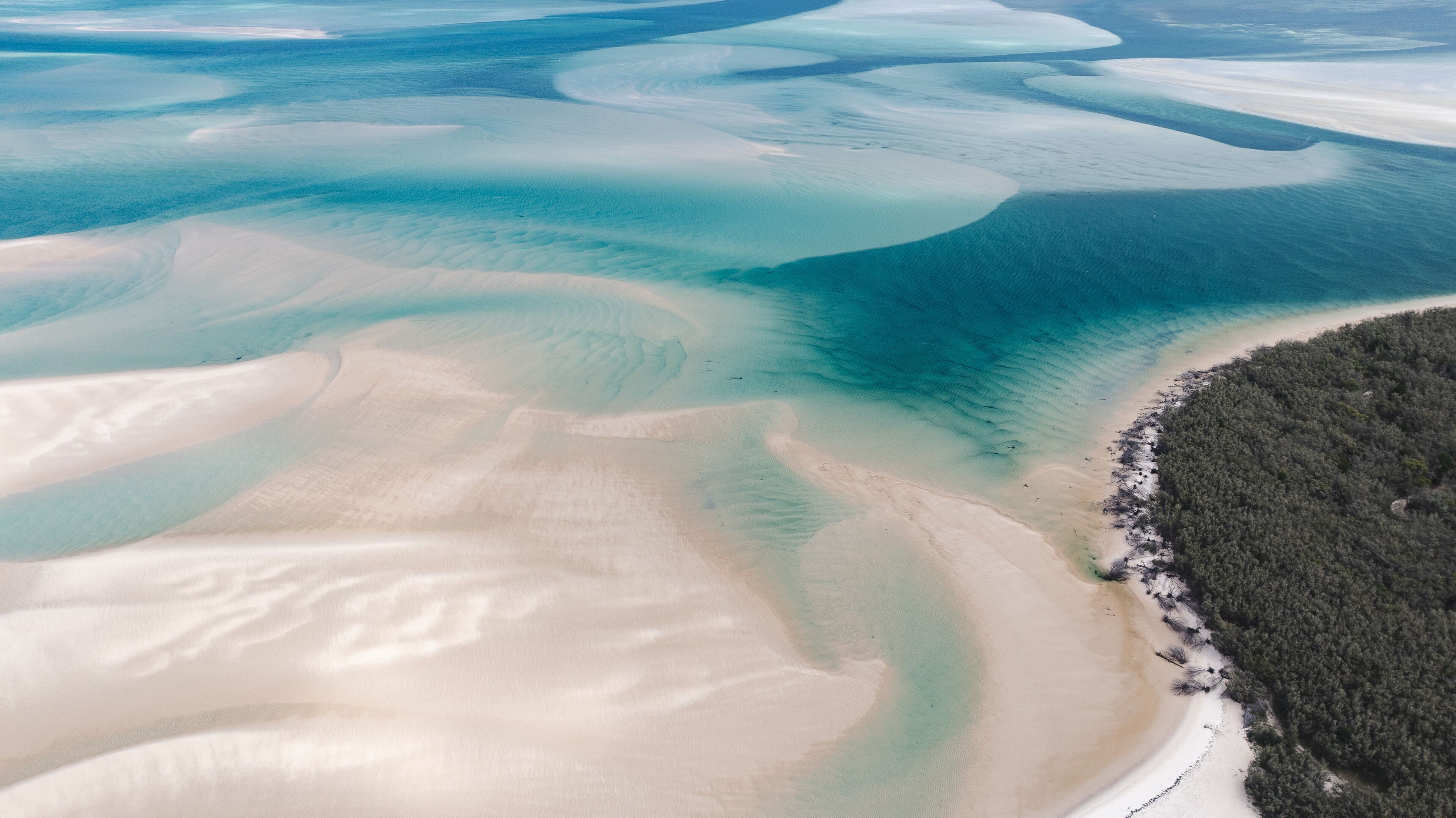 An aerial view of a coastal area with sand dunes, a beach, and a forested area.
