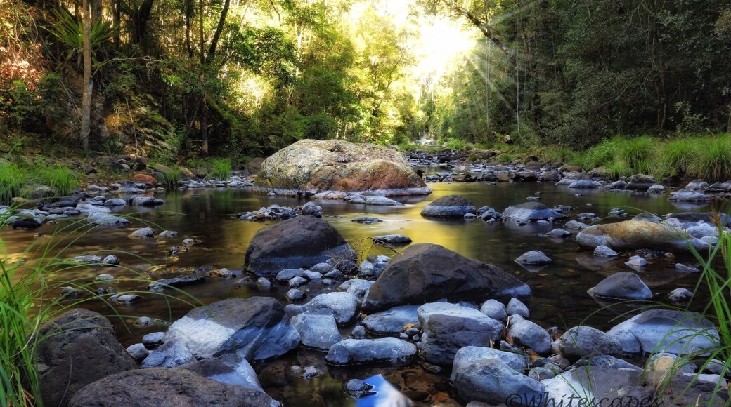 Killarney Glen, within the Scenic Rim of Queensland and part of Qld National Parks is such a beautiful spot. After a steep walk down (feels steeper going back) you come across a wonderful pebble filled creek and azure waters flowing into a heart shaped pool. Here you'll find repellers, overseas tourists and even young backpackers in their underwear because they forgot their swimmers. I just wanted to find it and take a few photos. Take snacks and water. There are facilities nearby. #queensland #hiking