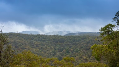 Uma cadeia montanhosa densamente arborizada sob um céu nublado.