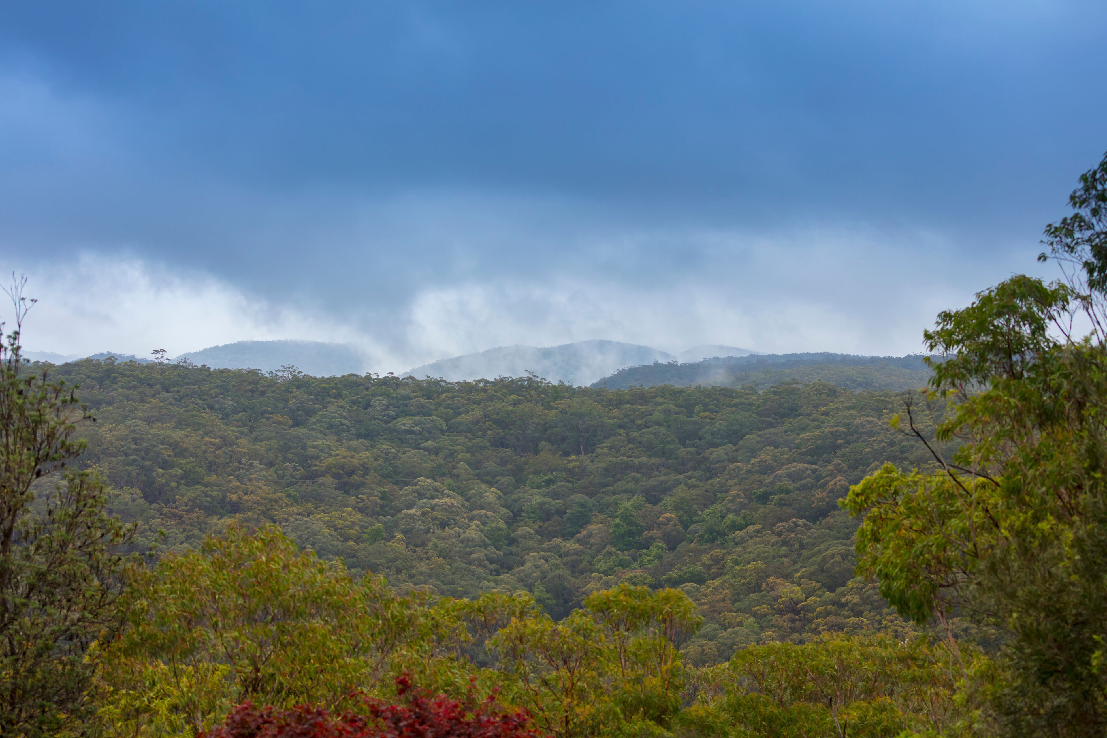 A dense forested mountain range with a cloudy sky.