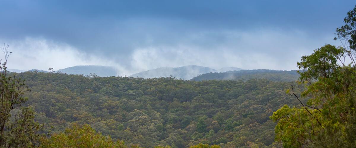 A dense forested mountain range with a cloudy sky.