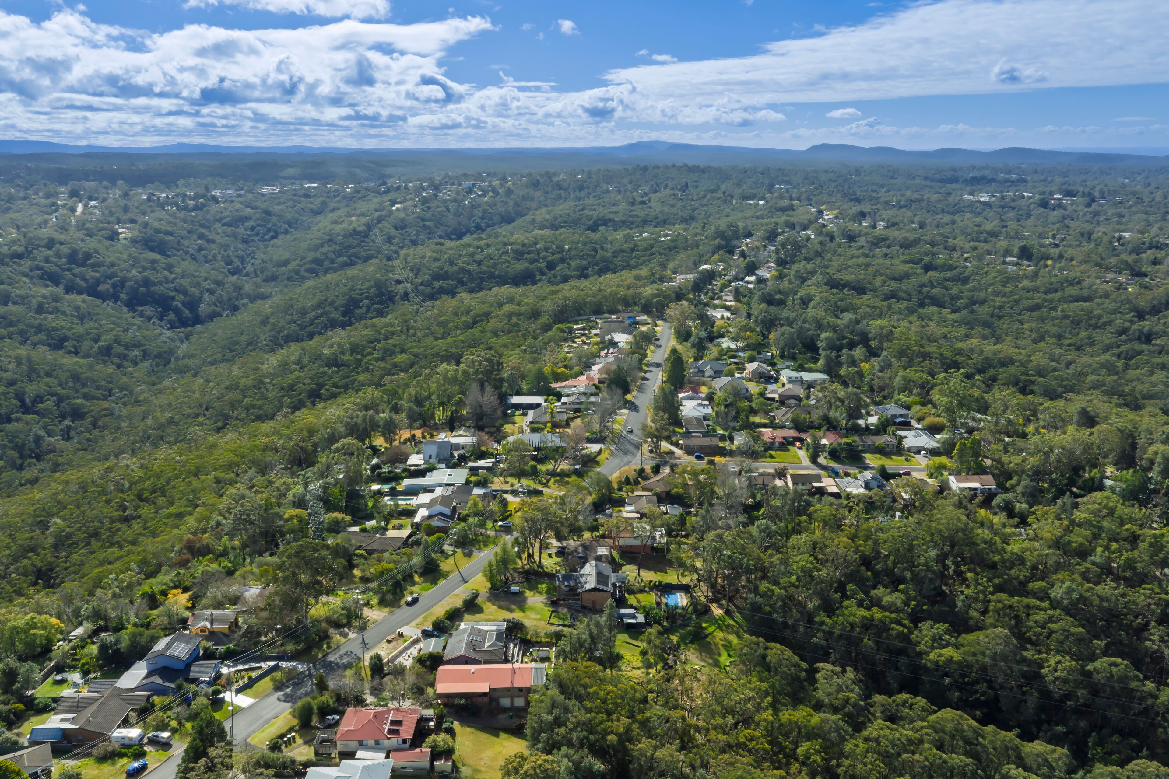 Drone aerial photograph of residential houses along Burns Road amongst lush foliage and adjacent to Sassafras Gully in the town of Springwood in the Blue Mountains, NSW, Australia.