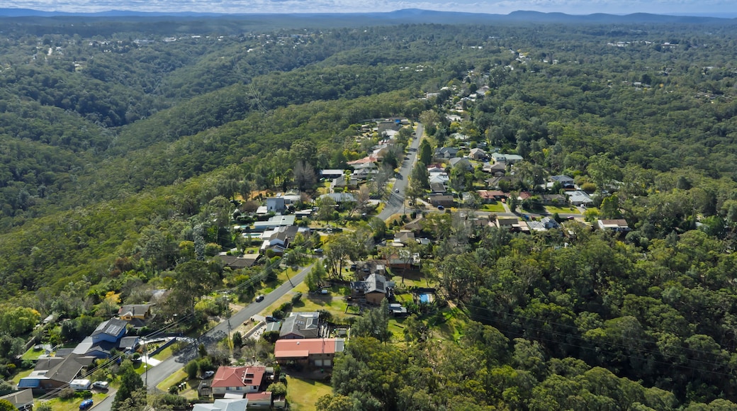 Drone aerial photograph of residential houses along Burns Road amongst lush foliage and adjacent to Sassafras Gully in the town of Springwood in the Blue Mountains, NSW, Australia.