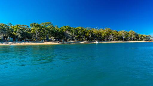 Sunny day on Coochiemudlo Island, Brisbane, Queensland, Australia