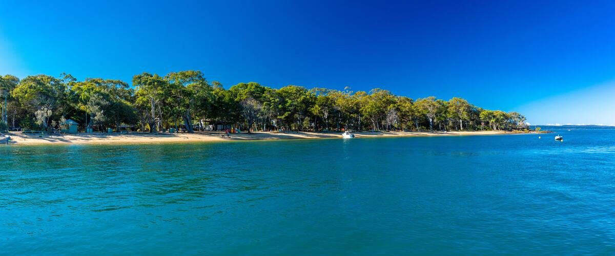 A coastal beach with clear blue waters, sandy shore, and dense green trees.