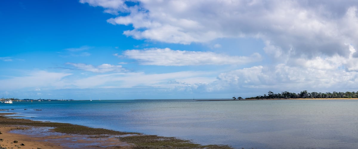 A coastal landscape with a sandy beach, calm sea, and a line of trees in the distance.