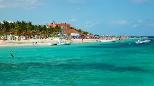 Puerto Morelos presenterar en strand, båtkörning och en kuststad