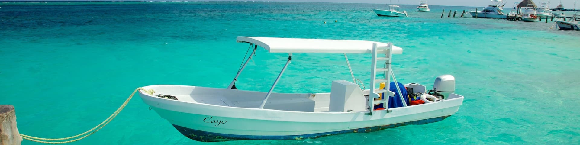 Puerto Morelos featuring a bay or harbor and boating