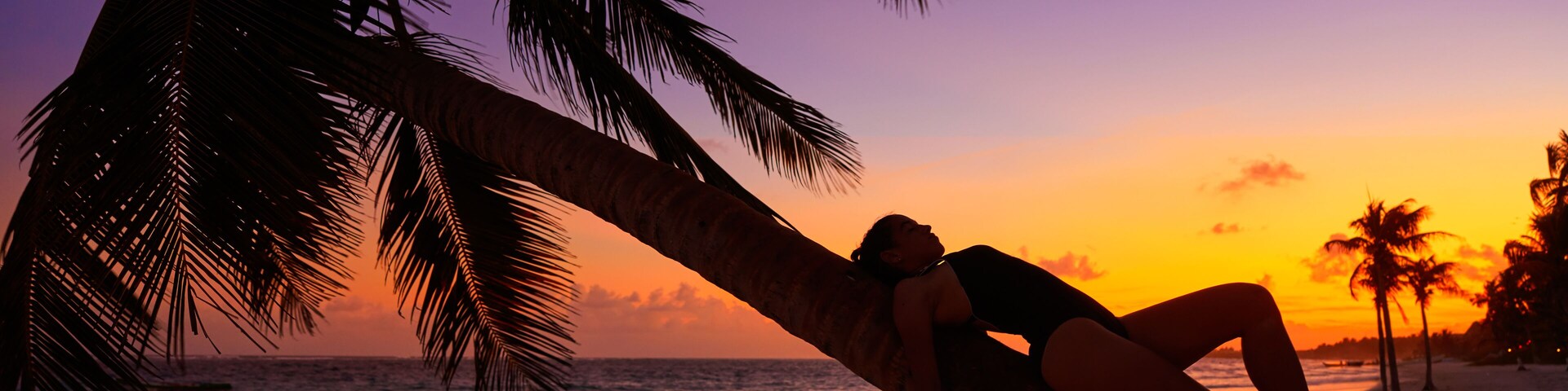 Escena de playa al atardecer con palmeras y una persona recostada bajo una de ellas.