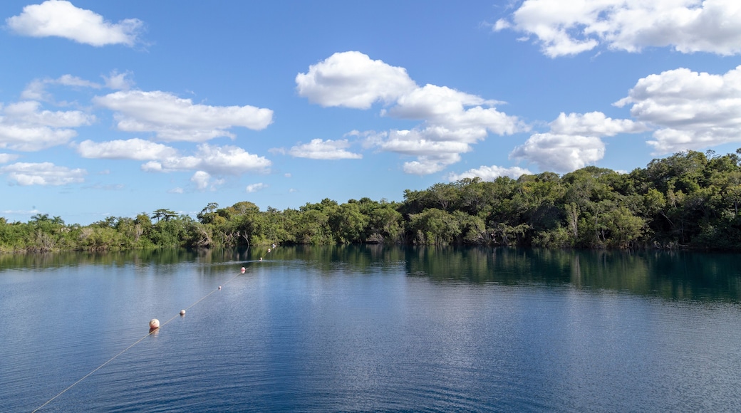 cenote blue bacalar (lagoon of the seven colors) Quintana Roo Mexico