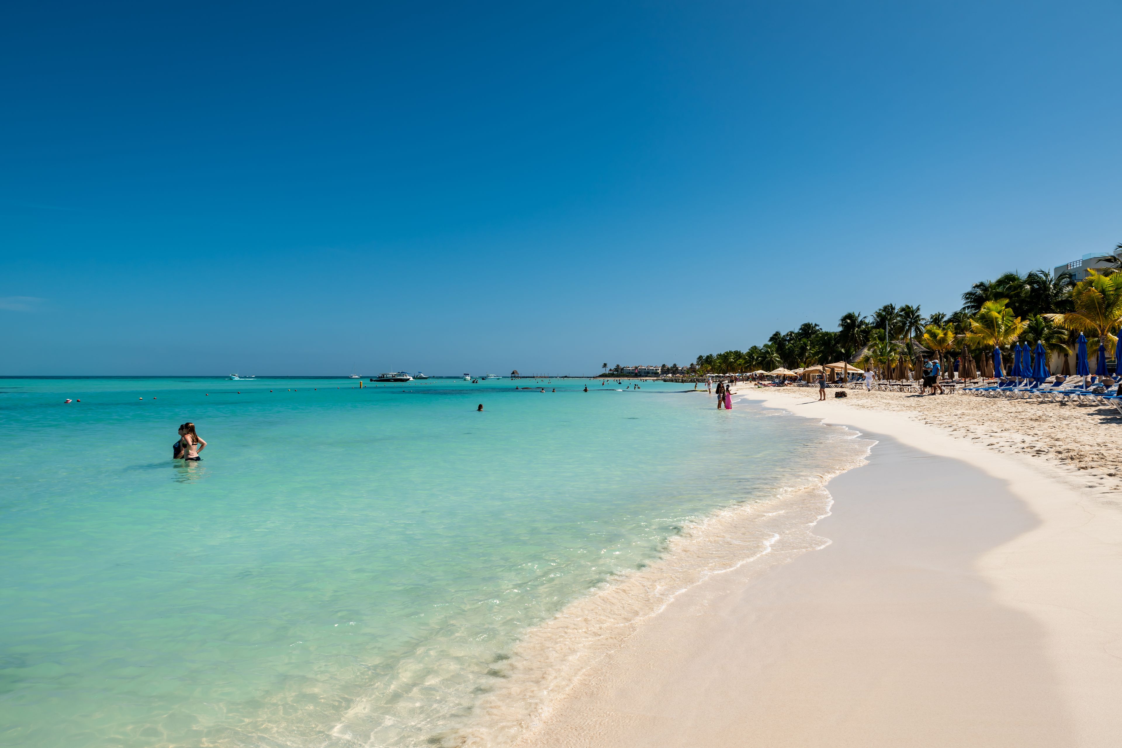 Una playa con aguas turquesas cristalinas, una orilla de arena y palmeras.