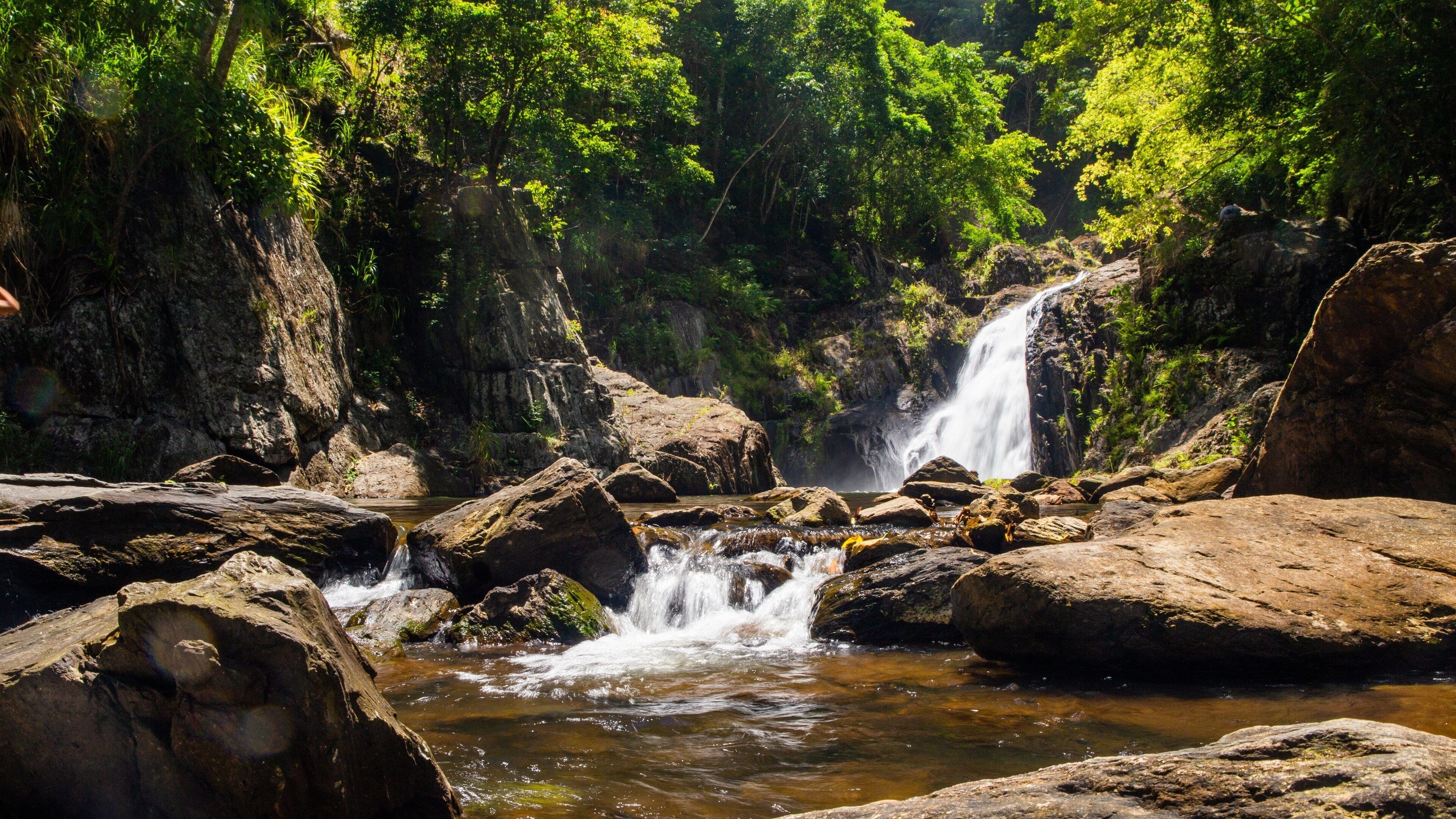 Redlynch showing a river or creek