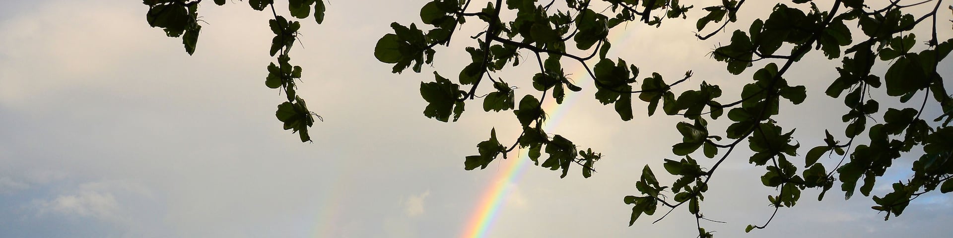 Rainbow at Holloways beach, Cairns, Australia