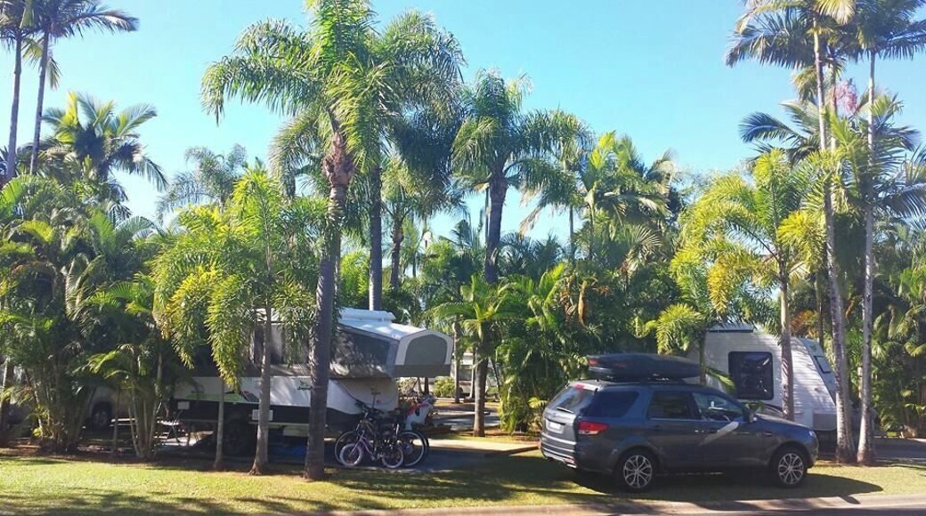 $63 per night for our powered campsite under the palm trees at Cairns Coconut Holiday Resort. It is a great park, especially for kids.
