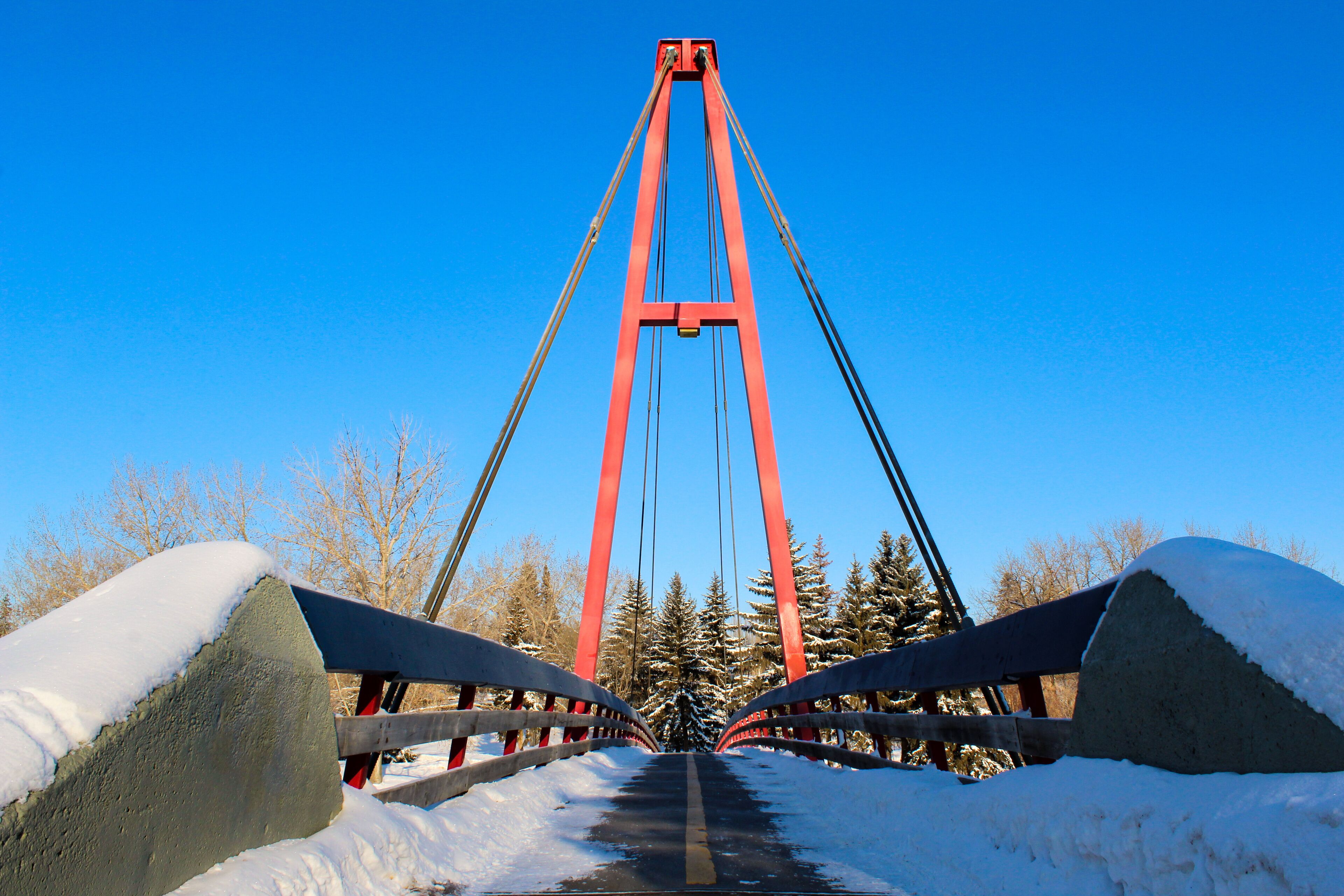 セント アルバート