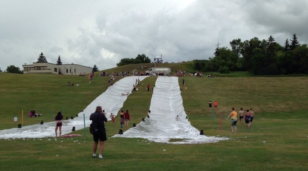 Fun slip and slide!